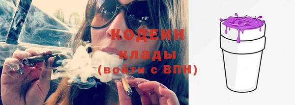индика Балахна