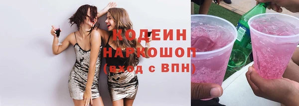 индика Балахна