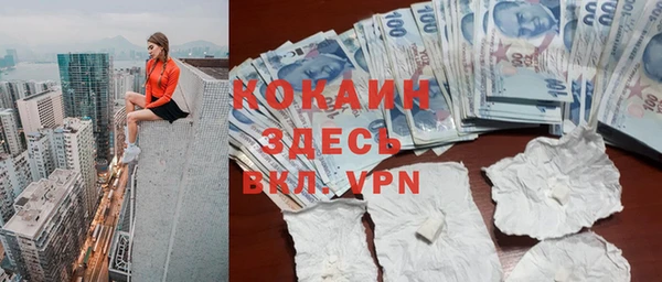 индика Балахна