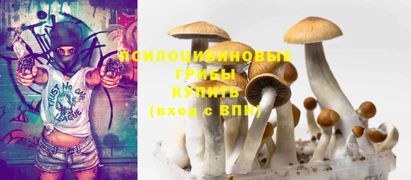 дмт Баксан