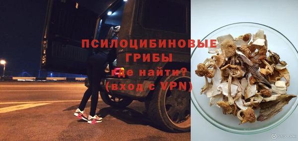 индика Балахна