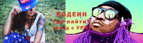 индика Балахна