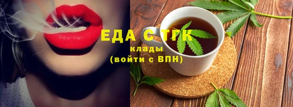 индика Балахна