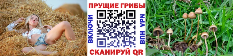 Галлюциногенные грибы мухоморы наркота Белово